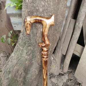 Puede incluir: Un bastón de madera con un mango tallado en forma de cabeza de caballo. El bastón es marrón y tiene un acabado de madera natural.