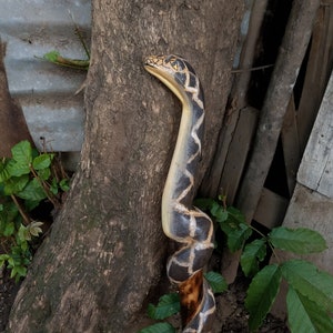 Serpent Big Snake Hiking Walking Stick Cane Handmade Kenya Africa Solid 1-PC Original Hand-Carved You Select Wood & Length Unisex Multisize