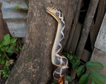 May include: A wooden walking stick carved to resemble a snake. The snake is black and white with yellow accents. The stick is leaning against a tree trunk.