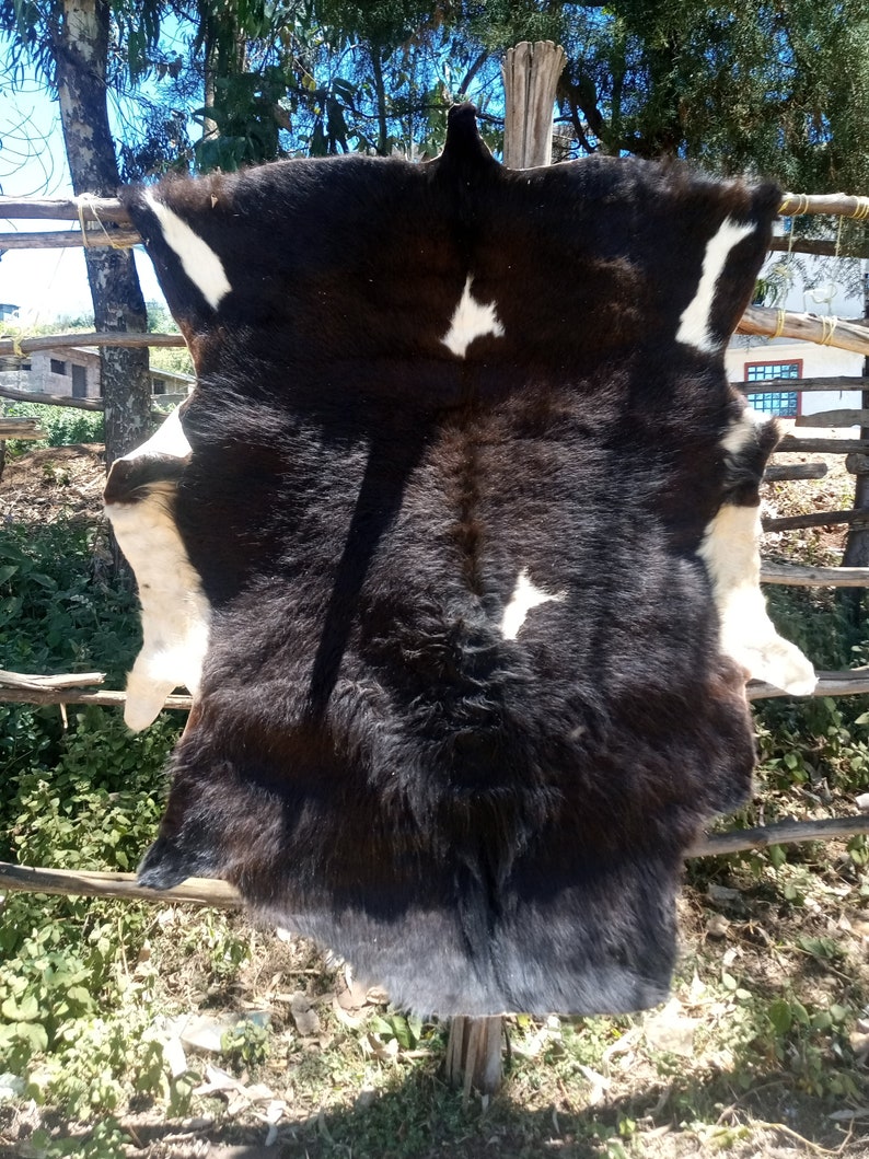 May include: A black and white cowhide rug with white patches. The hide is hanging on a wooden fence.