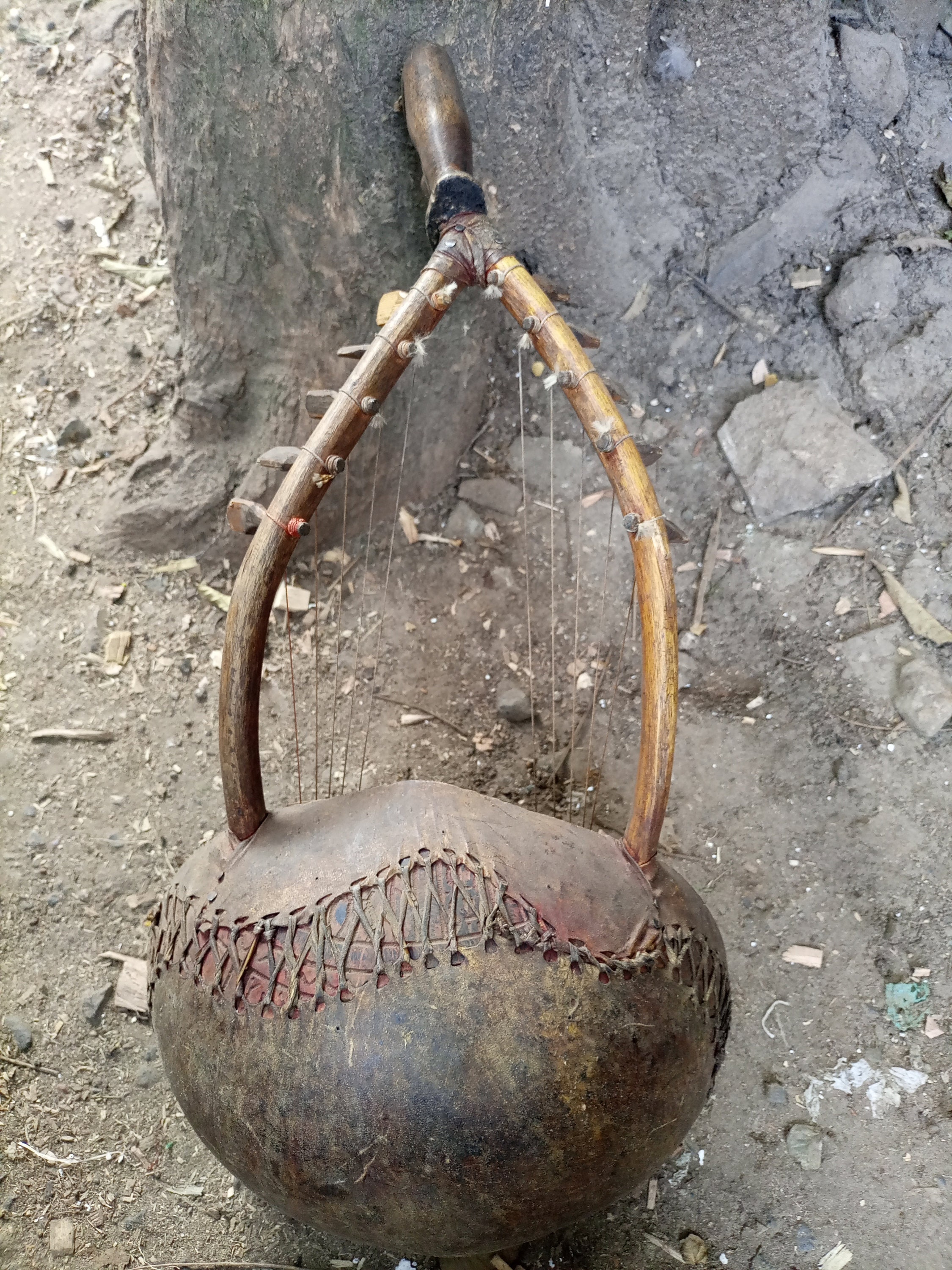 10string Original Double Zeze Plucked Bowl Yoke Lute Cowhide Etsy