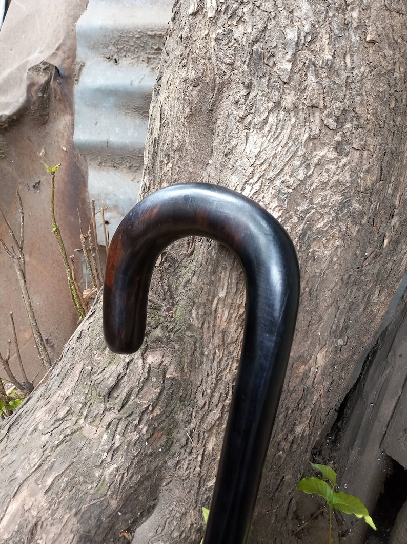 May include: A dark brown wooden walking stick with a curved handle. The stick is leaning against a tree trunk.