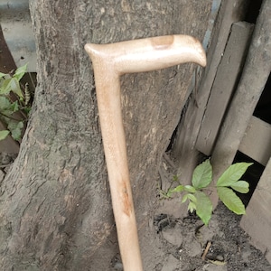 Puede incluir: Un bastón de madera con un mango curvo. El bastón es de color marrón claro y tiene un acabado de madera natural.