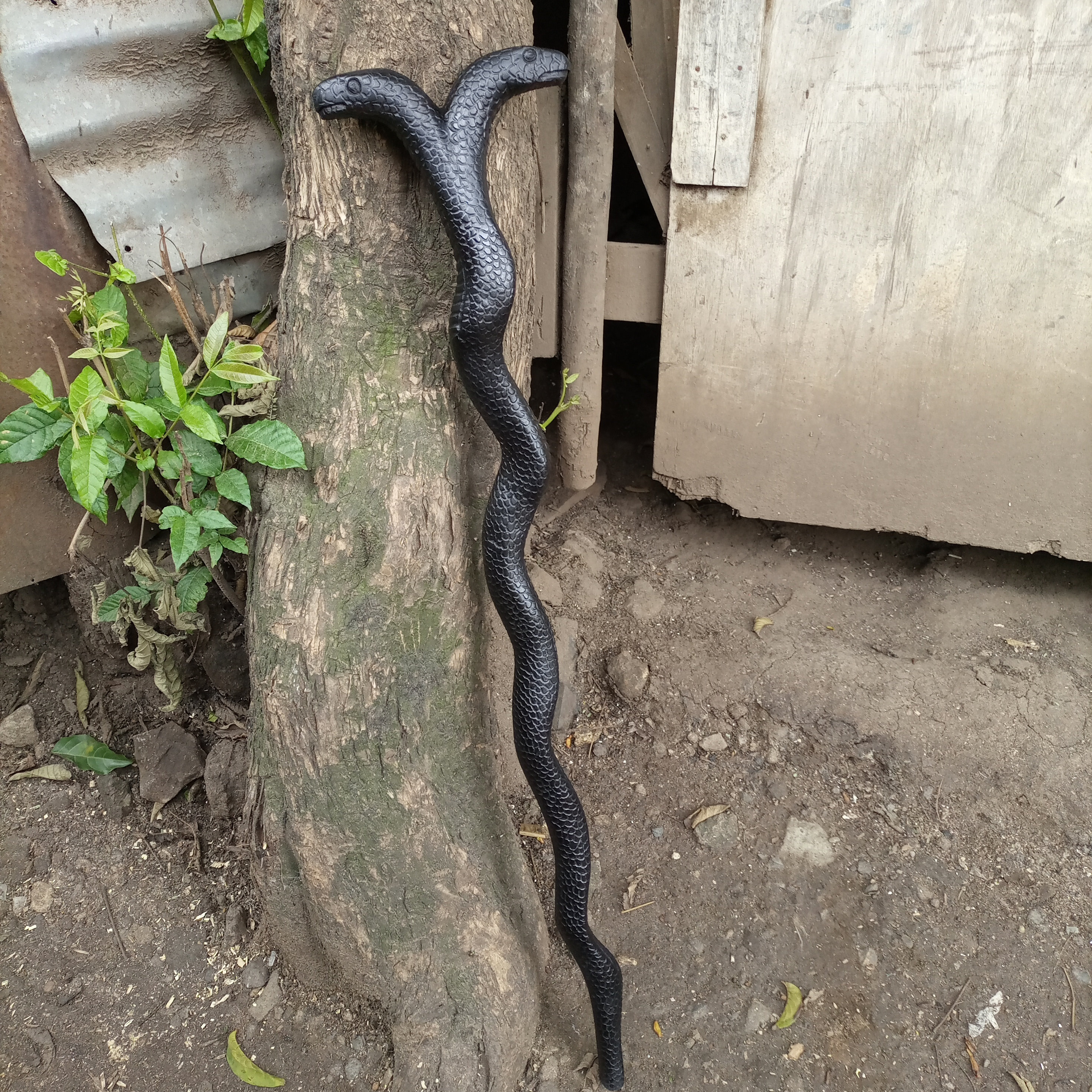Python Kenya Snake Ironwood African 2headed Python Original Hiking Walking Stick Cane ...