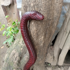 May include: A red wooden walking stick carved in the shape of a snake. The snake's head is raised and the stick is leaning against a tree trunk.