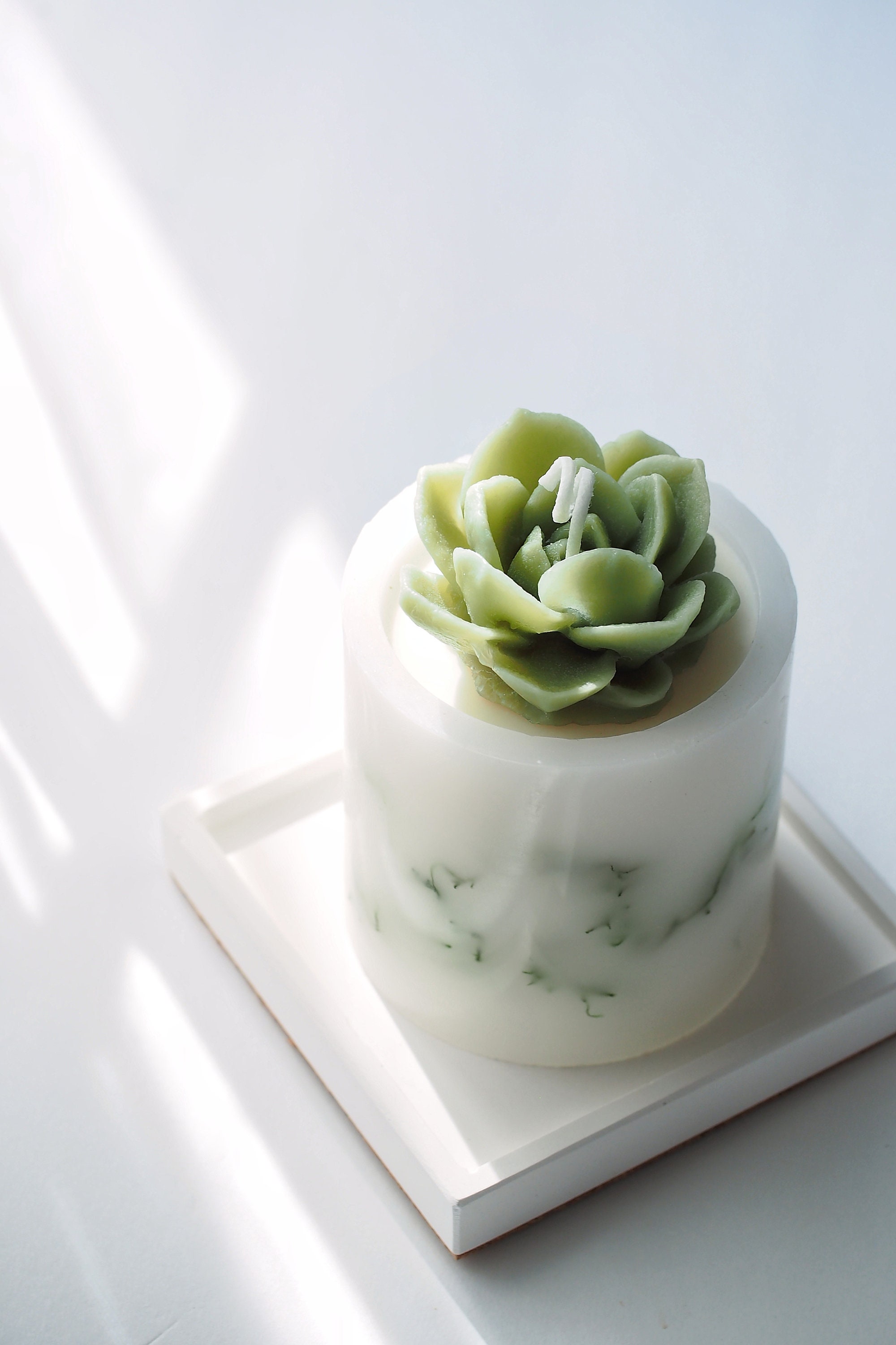 Bougie Succulente, Bougie