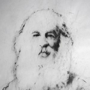 Ritratto di Walt Whitman. Disegno di Gustau Donat. Arte Moderna Grafite su carta. 22,8 x 16,5 pollici