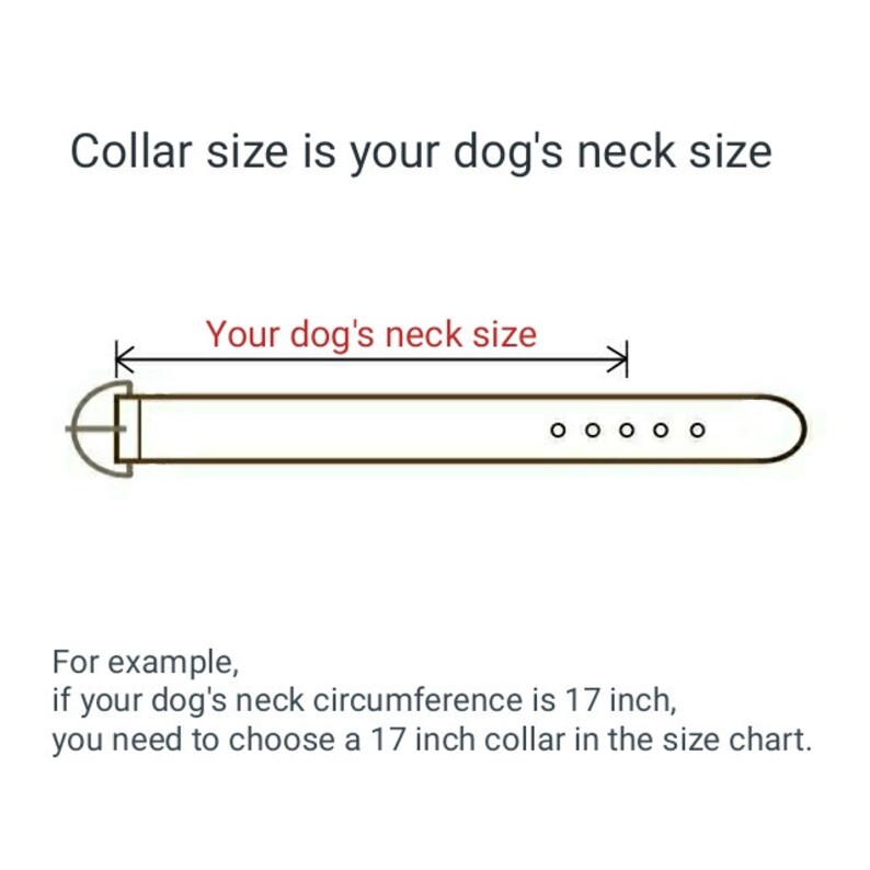 Very Soft Dog Collar Tiny Pet Collar Small Dog Leather Etsy.de