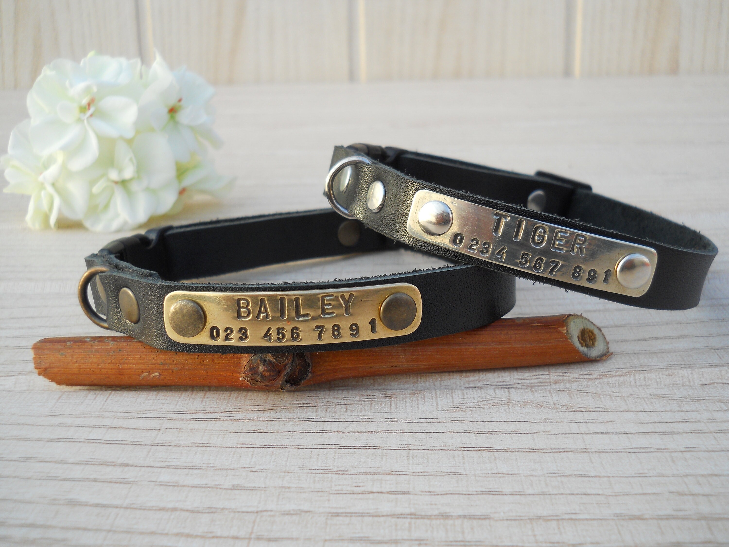 petsafe cat collars