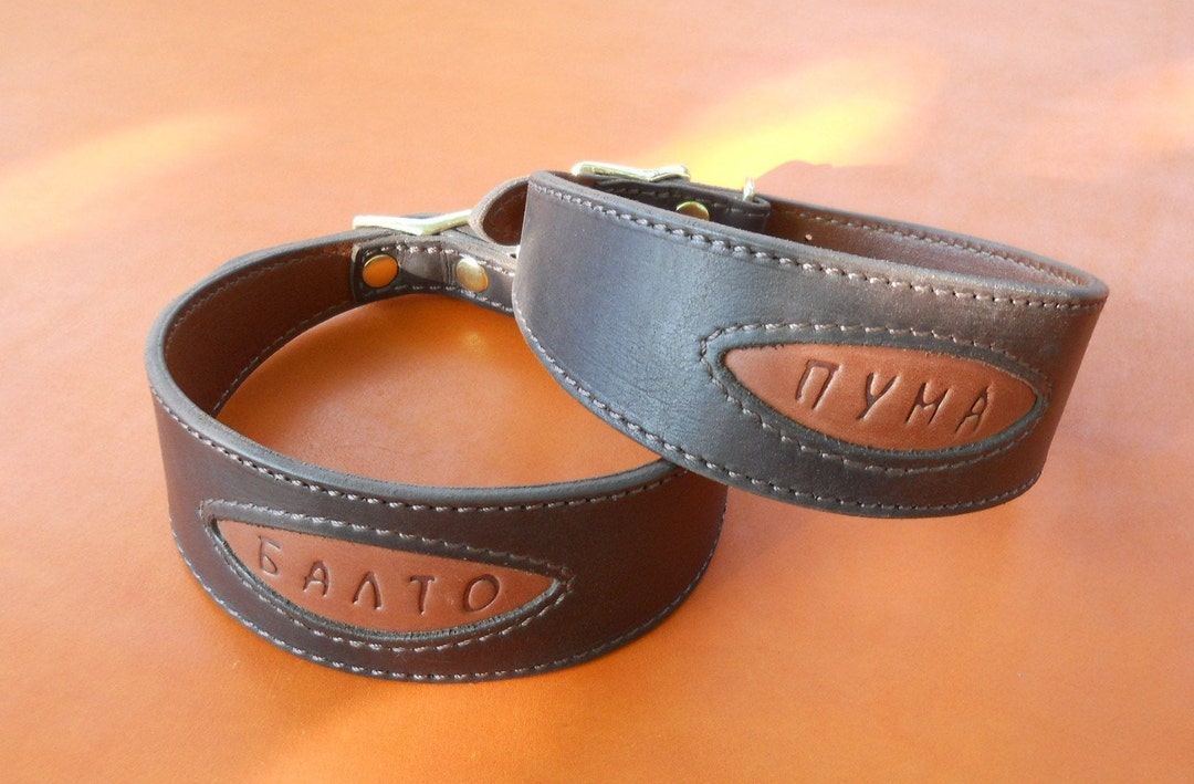 Personalized Leather Dog Collar Vintage Look for Xoloitzcuintli