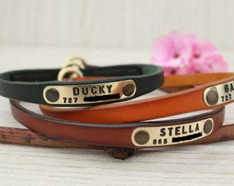 dog house collar