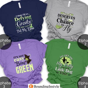 Retro Wicked Shirt, Elphaba Team, Defying Gravity T-Shirts, Deserves Chance to Fly Tee, It&#39;s not Easy Being Green Outfit, Wizard Movie Gifts
