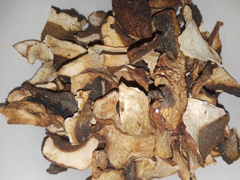 Dried Porcini King Bolete Mushrooms 1oz Etsy