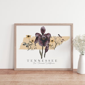 Tennessee State Flower Iris Art Print, Tennesse Wildflowers