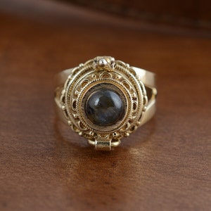 May include: A gold-colored ring with an ornate, detailed design. The ring features a central, dark-colored stone, surrounded by intricate filigree and decorative elements. The ring's design is reminiscent of vintage or antique jewelry.