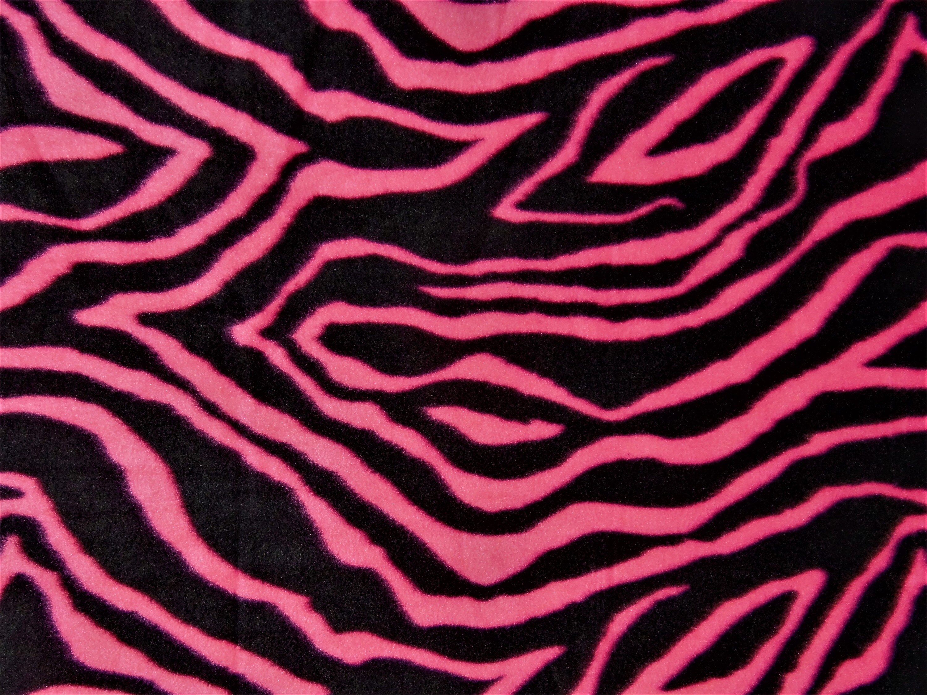 Pink Zebra Blanket Etsy
