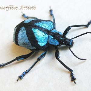 May include: A beetle figurine with a vibrant metallic blue and matte black patterned shell. The insect features six long, slender black legs, two thin antennae, and the text "Butterflies Artists" printed in the upper left corner of the frame.