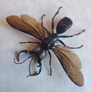 Megalara Garuda - Etsy