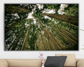 Lienzo de bosque, impresión de árboles, decoración de pared de naturaleza