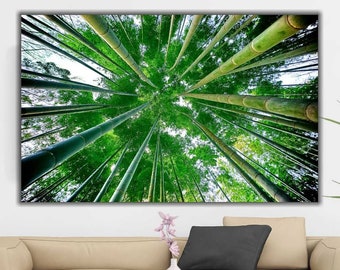 Bamboo Forest Canvas Print: Nature Wall Art, Ready To Hang!