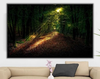 Impresión en lienzo de bosque: Luz del sol a través de los árboles, arte mural natural