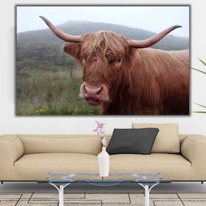 Highland Cow Canvas | Highland Cow Print, Cow Modern Print, Contemporary Art, Living Room Decor, Animal Decor, Farmhouse Decor