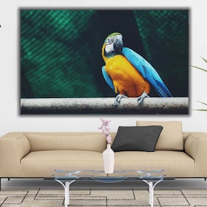Toucan Canvas Art | Bird Wall Art, Bird Wall Decor, Animal Decor, Toucan Print, Exotic Bird Art, Tucan Art, Wildlife Nature Art, Animal Art