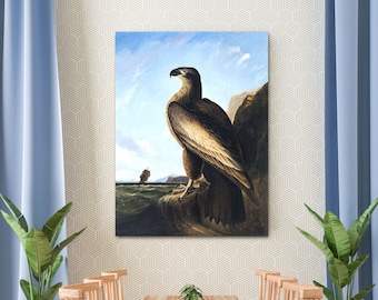 Washington Sea Eagle by John James Audubon Canvas Art, Eagle Print, Animal Wall Art, Animal Canvas, Animal Art, Reproduction Canvas Print