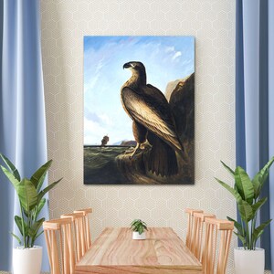 Washington Sea Eagle by John James Audubon Canvas Art, Eagle Print, Animal Wall Art, Animal Canvas, Animal Art, Reproduction Canvas Print