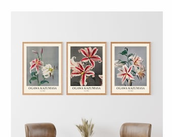 Ogawa Kazumasa Lily Flower Art Prints: Japanese Botanical Set of 3