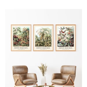 Ernst Haeckel Botanical Prints Set of 3, Nature Art, Bird Print, Vintage Palm Tree, Hummingbird Print, Moss, Haeckel Poster, Botanical Decor