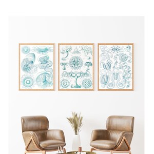 Ernst Haeckel Prints Set of 3, Sea Life Art, Vintage Jellyfish Print, Scientific Poster, Sea Life Decor, Ernst Haeckel Poster, Nautical Art