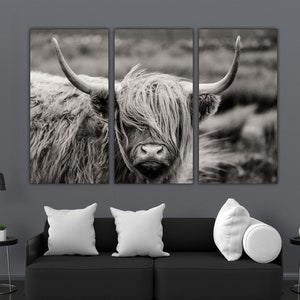 Scottish Highland Cow Wall Art | Cattle Canvas Cattle Wall Art Cattle, Black And White Animal , Print Animal Wall Art Animal Canvas