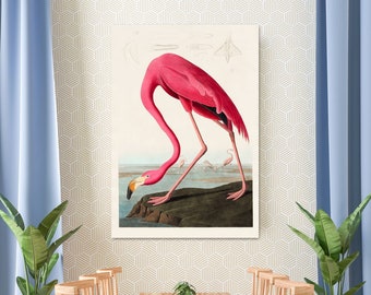 Pink Flamingo 1827 by John James Audubon Canvas Art, Vintage Flamingo Print, Birds of America, Flamingo Wall Art, Reproduction Canvas Art