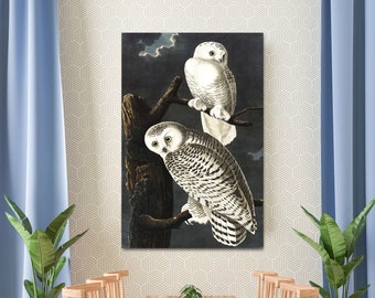 Snowy Owl Canvas Art, Audubon Birds of America Reproduction, Ready To Hang!