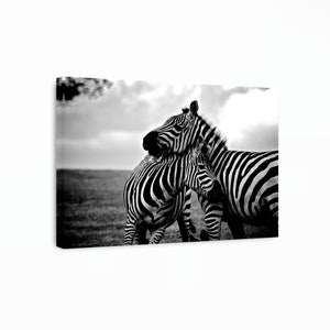 Zebra Canvas Art, Black and White, Zebra Wall Art, African Animal Canvas, Safari Wall Art, Two Zebra Print, Zebra Wall Decor, Ready To Hang!
