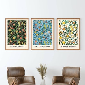 Set di 3 stampe artistiche di William Morris: poster di frutta di William Morris, poster della mostra di William Morris, stampa floreale, stampe da cucina, Art Nouveau