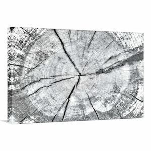 Tree Stump Black and White Canvas Art,Stump Tree Print,Nature Wall Art,Minimalist Art,Lake House Wall Art,Tree Ring Canvas, Wood Tree Stump