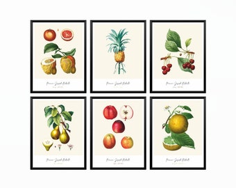 Vintage Fruit Prints Set 6: Tropical Kitchen Wall Art,