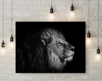 Lion Black and White Canvas Art, Modern Animal Wall Decor