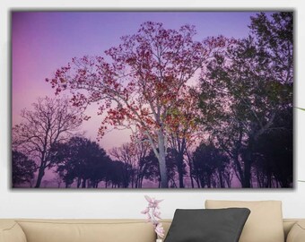 Pink Flower Tree Canvas Print: Nature Wall Art