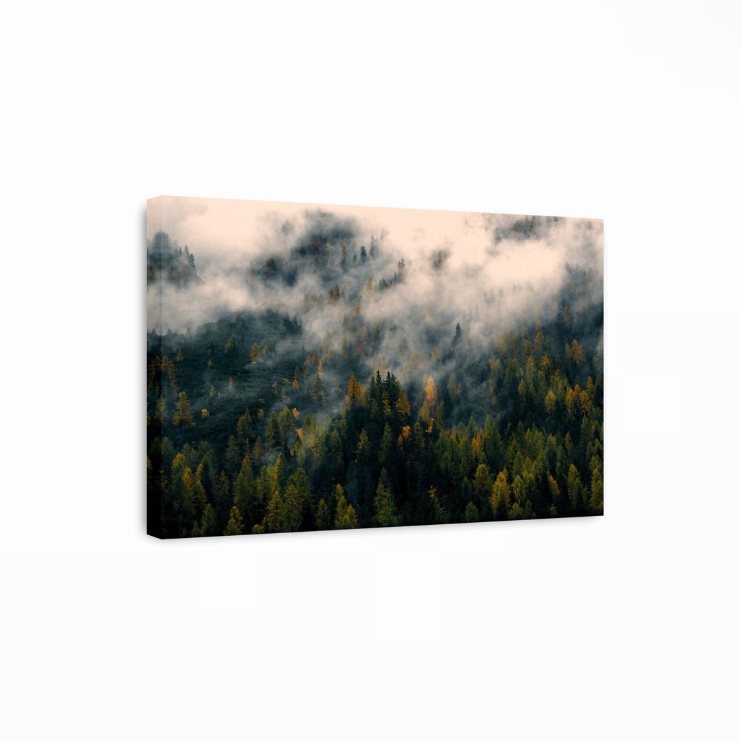 Forest of Pine Trees Canvas Art Print, Forest Print, Tree Wall Art