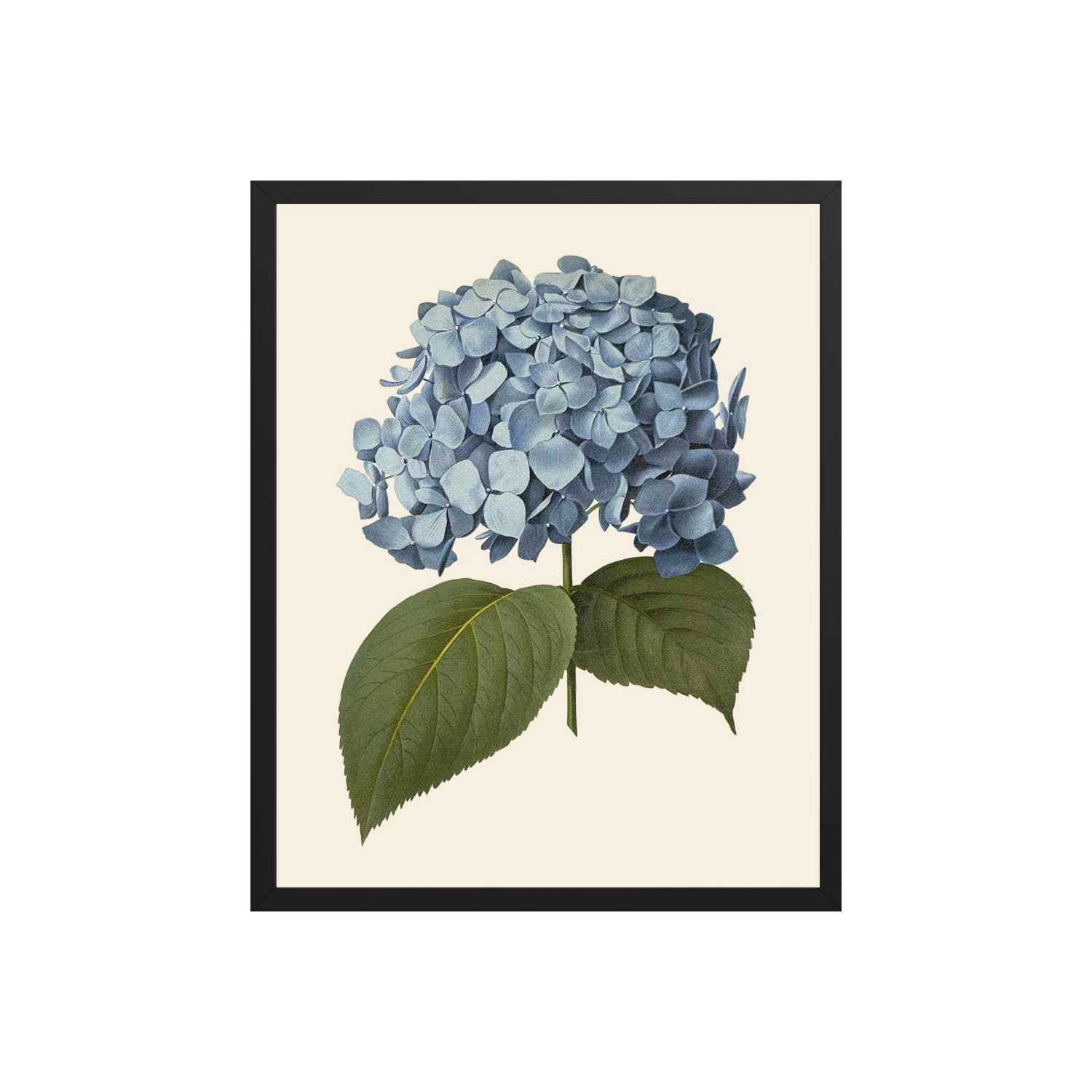 Blue Hydrangea Art Blue Botanical Prints Hydrangea Prints Etsy
