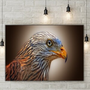 Eagle Wall Art | Eagle Canvas Print, Eagle Decor, Eagle Art, Eagle Print, Bird Wall Decor, Animal Decor, Bald Eagle Print, Wildlife Art