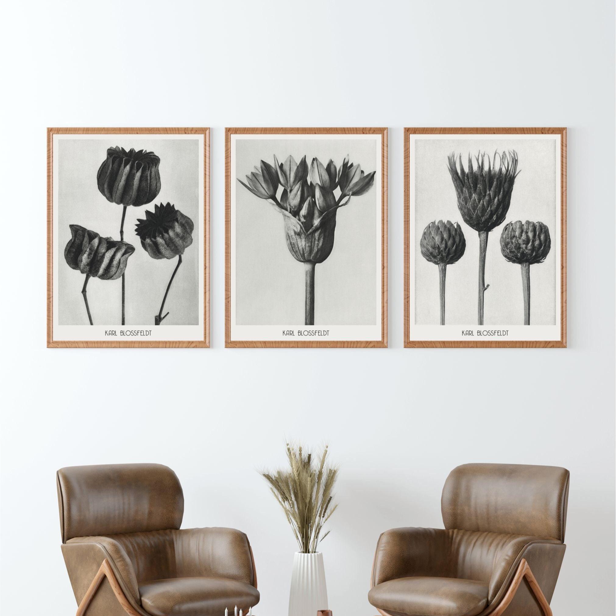 Karl blossfeldt - Etsy 日本