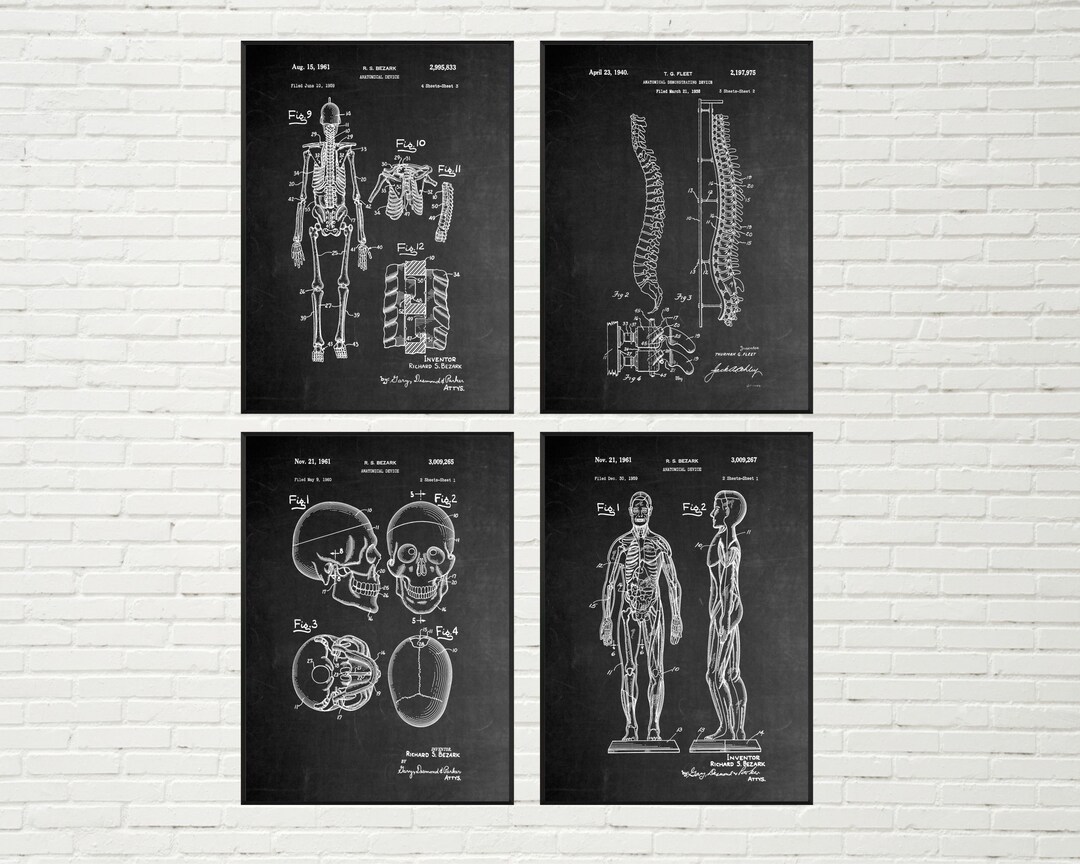 Anatomy Patent Print - Set of 4 | Human Body Art, Vintage Poster, Human ...