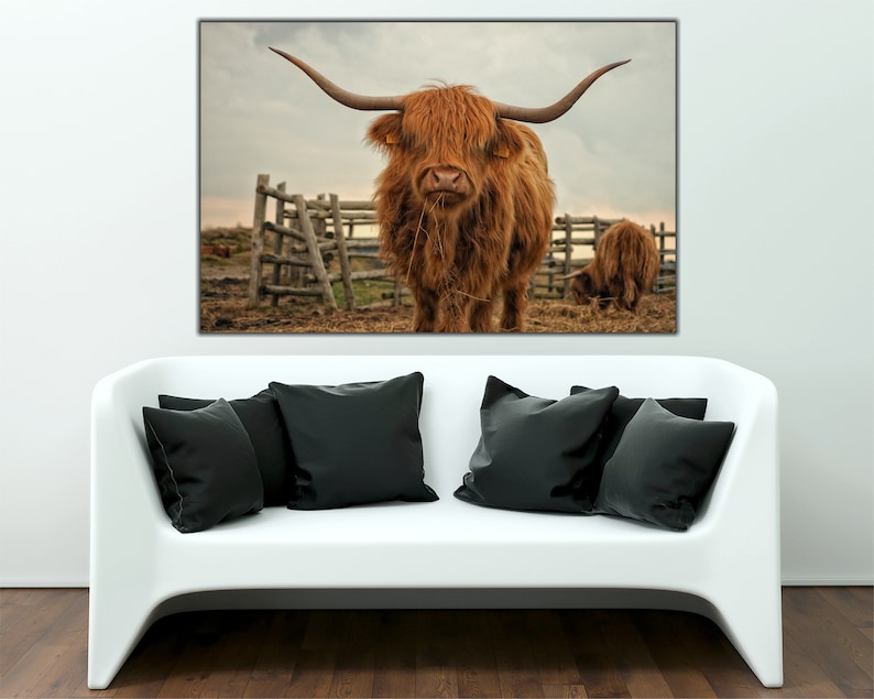 Highland Cow Wall Art Highland Cow Canvas Wall Art Canvas Etsy Australia Highland Cow Wall Art Highland Cow Canvas Wall Art Canvas Etsy Australia