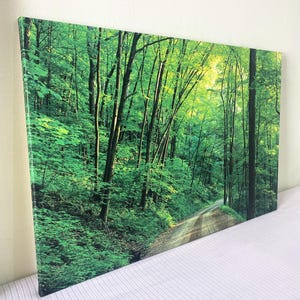 Green Forest Canvas Art, Forest Print, Landscape Path, Forest Wall Art, Nature Art, Landscape Canvas, Lush Forest,Tree Art,Canvas Home Decor