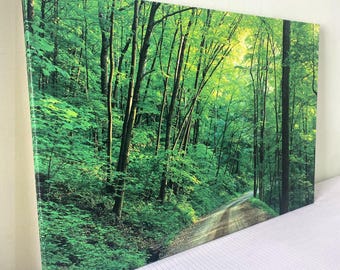 Green Forest Canvas Art, Lush Landscape Wall Art, Nature Decor