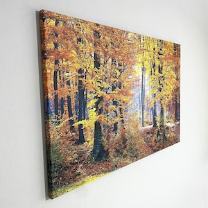 Autumn Canvas Print | Autumn Decor, Fall Wall Art, Trees Print, Trees Wall Art, Autumn Wall Art, Nature Wall Art, Large Canvas Print FRAMED